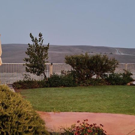 Desert Call Arad Exterior foto